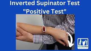 Inverted Supinator Test Positive Test [upl. by Hultin899]