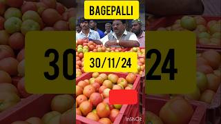 bagepalli tomatoprice 15kg box chikkaballapura Karnataka [upl. by Kelsey]