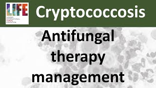 Cryptococcosis antifungal treatment management [upl. by Rudin529]