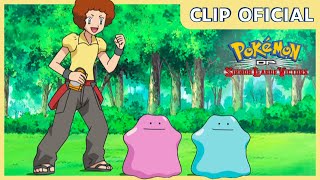 Doble Ditto  Pokémon Diamante y Perla Los vencedores de la Liga de Sinnoh  Clip oficial [upl. by Alesiram893]