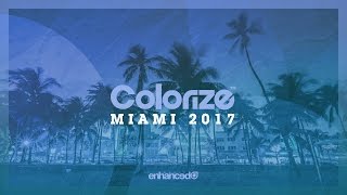 Colorize Miami 2017  Continuous Mix [upl. by Nangem826]