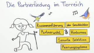 PARTNERFINDUNG IM TIERREICH  Biologie  Neurobiologie und Verhalten [upl. by Humbert404]