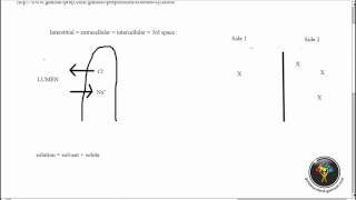 ACER GAMSAT Practice Questions Biology RedOrange Booklet Unit 3 Questions 9 to 11 [upl. by Airenahs]