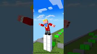 PLAYING CARGO SKATES RUN WITH Technoblade  Hadal Ahbek  funnyshorts fypシ minecraftshorts [upl. by Annwahs253]