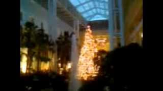 Multiple Ghosts Captured at Opryland Hotel Country Christmas [upl. by Elisabeth]