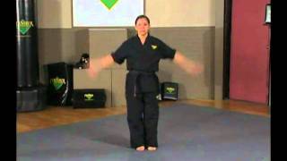 Karate  Black Belt Training  Premier Forms  Power Form Full Form [upl. by Naesar]