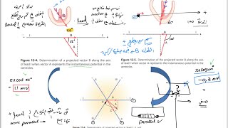 ECG part2 vectorial analysisDeviationcurrent of injury شرح [upl. by Astri540]