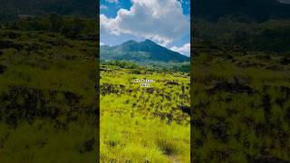 Mount Batur Bali travel balitravel nature volcano naturephotography [upl. by Ronni]