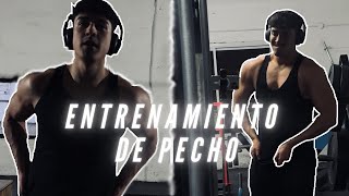 ENTRENAMIENTO DE EMPUJE PECHOHOMBRO Y TRICEPS [upl. by Juliet832]