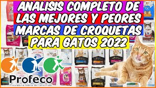 ANÁLISIS COMPLETO DE PROFECO SOBRE LAS MEJORES Y PEORES CROQUETAS PARA GATOS 2022  SiamCatChannel [upl. by Lorain]