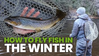 How To Fly Fish In The Winter Everything You Need To Know [upl. by Yard93]