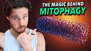 This Pathway May be the Secret to Mitochondria Health  How to Turn it ON [upl. by Alberik]