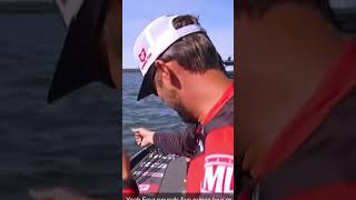 Berkley Cull Shad doing work swimbait bassfishing [upl. by Mayram]