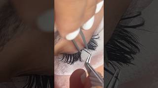 Spike Placement🤍 lashing lashtech lashextensions eyelashes eyelashextensions eyes [upl. by Luzader]