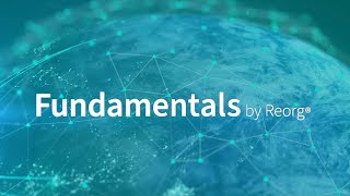 Fundamentals Launch Video [upl. by Kosak156]