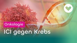 Bestimmte Krebsarten durch das eigene Immunsystem bekämpfen [upl. by Eislrahc773]