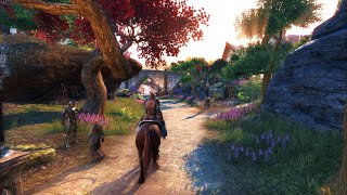 ESO graphics overhaul mod makes it look like a 2023 game [upl. by Aubree896]