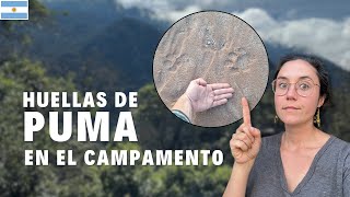 ⚠️ NOS ADVIRTIERON Yungas Jujuy  EP12  Sudamérica en camper Argentina [upl. by Adnaerb]