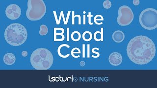 White Blood Cells The 5 WBC Types Reference Ranges amp Functions  Pathophysiology  NCLEX Prep [upl. by Thorley289]