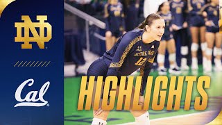 Golden Victory Irish Defeat Cal in 4 Sets  Notre Dame Volleyball Highlights [upl. by Maccarone336]