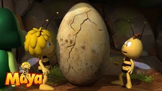 🍯🌹🌻 Willy in the egg  Maya the bee 🌻🌹🍯 [upl. by Ynaffets]