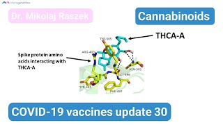 Cannabinoids and Spike protein  COVID19 mRNA vaccines update 30 [upl. by Karena]