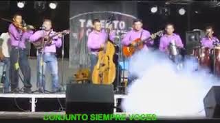 Osito dormilón violines de Honduras [upl. by Aiynat]