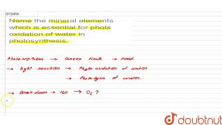 Name the mineral elements which is essential for phots oxidation of water in photosynthesis  1 [upl. by Klimesh]