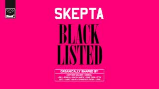 Skepta  Blacklisted  Track 7 [upl. by Yecac780]