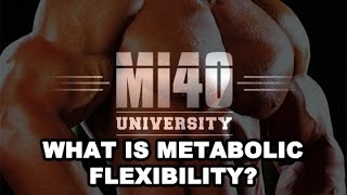 Muscle Building Metabolic Flexibility Effect on Insulin Sensitivity [upl. by Jerrie]