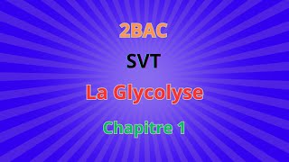 2BACSVT CH1 Libération de lénergie emmagasinée dans la matière organique La Glycolyse [upl. by Adest]