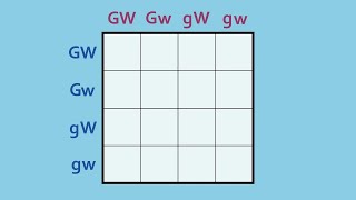 How to Complete a Dihybrid Punnett Square [upl. by Nevaed]