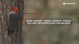 Say Goodbye To Persistent Pecking and Siding Damage from Pests with Hardie® Fiber Cement Siding [upl. by Nakhsa785]