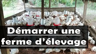 Voici 8 Etapes pour commencer une entreprise d’élevage de poulet à succès en Afrique [upl. by Anitneuq]