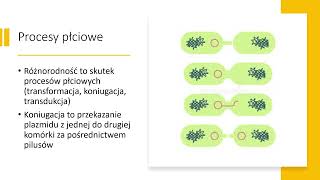 Rozmnażanie i Procesy Płciowe Bakterii  Matura 2023 Biologia [upl. by Sillaw]