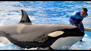 SeaWorld Killer Whale Trainer Responds to quotBlackfishquot [upl. by Baelbeer129]