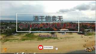 酒矸倘賣無 Ciu Kan Tang Bue Bo Female Version  Karaoke mandarin with drone view [upl. by Aisirtap425]