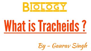 What is Tracheids   By  Gaurav Singh [upl. by Odarbil900]