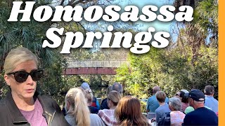 Homosassa Springs  Floridas Best Wildlife State Park [upl. by Nomrac]