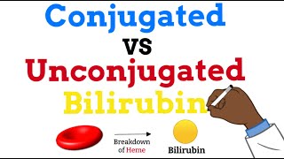 Conjugated vs Unconjugated Bilirubin  Simple Explanation [upl. by Ytinirt241]