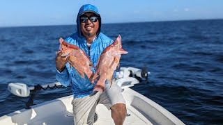 The Search for Hogfish Snappers in Tampa Bay [upl. by Ardnnaed]