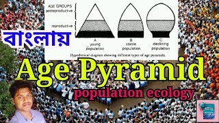 Age Pyramid PopulationEcology  Types of Age Pyramid [upl. by Ardnuat76]