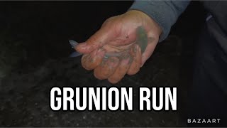 How to Catch Grunion in Southern California [upl. by Wrennie]