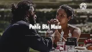 Pehle Bhi Mai  Slowed amp Reverb Lofi Version Animal Movie [upl. by Edi44]