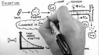 Pharmacokinetics 5  Excretion [upl. by Chiaki15]