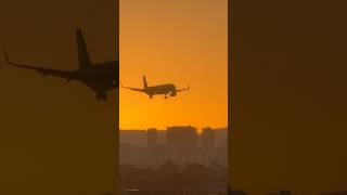 Adelaide Airport A Sunrise Landing Experience shorts fyp [upl. by Ainig]