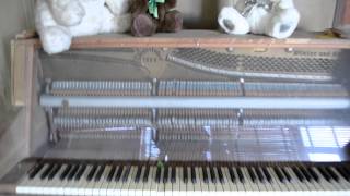 Insane Asylum Piano [upl. by Ennaillek]