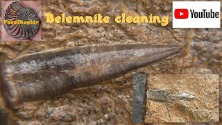 Fossilien suchen  Fossil Hunting  Belemnit cleaning  Donnerkeil [upl. by Kerred]