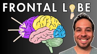 The Frontal Lobe  Location and Function [upl. by Thissa575]