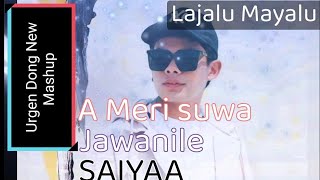 Urgen Dong New mashup songs urgendong saiyaa  Mai jhuto annuchaudharynewsong [upl. by Ahsytal]